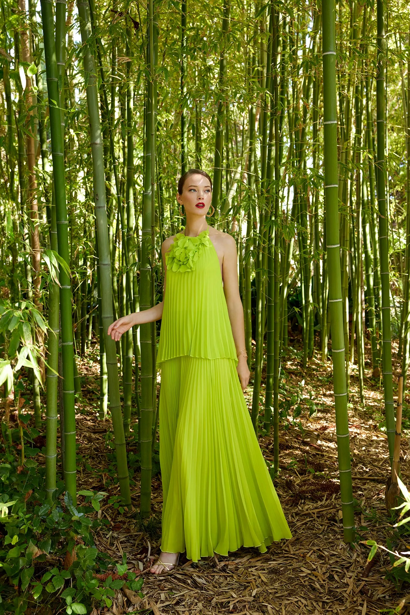 Carla Ruiz 50501: Pistachio Pleated Halter Neck Gown with Floral Neck Embellishment