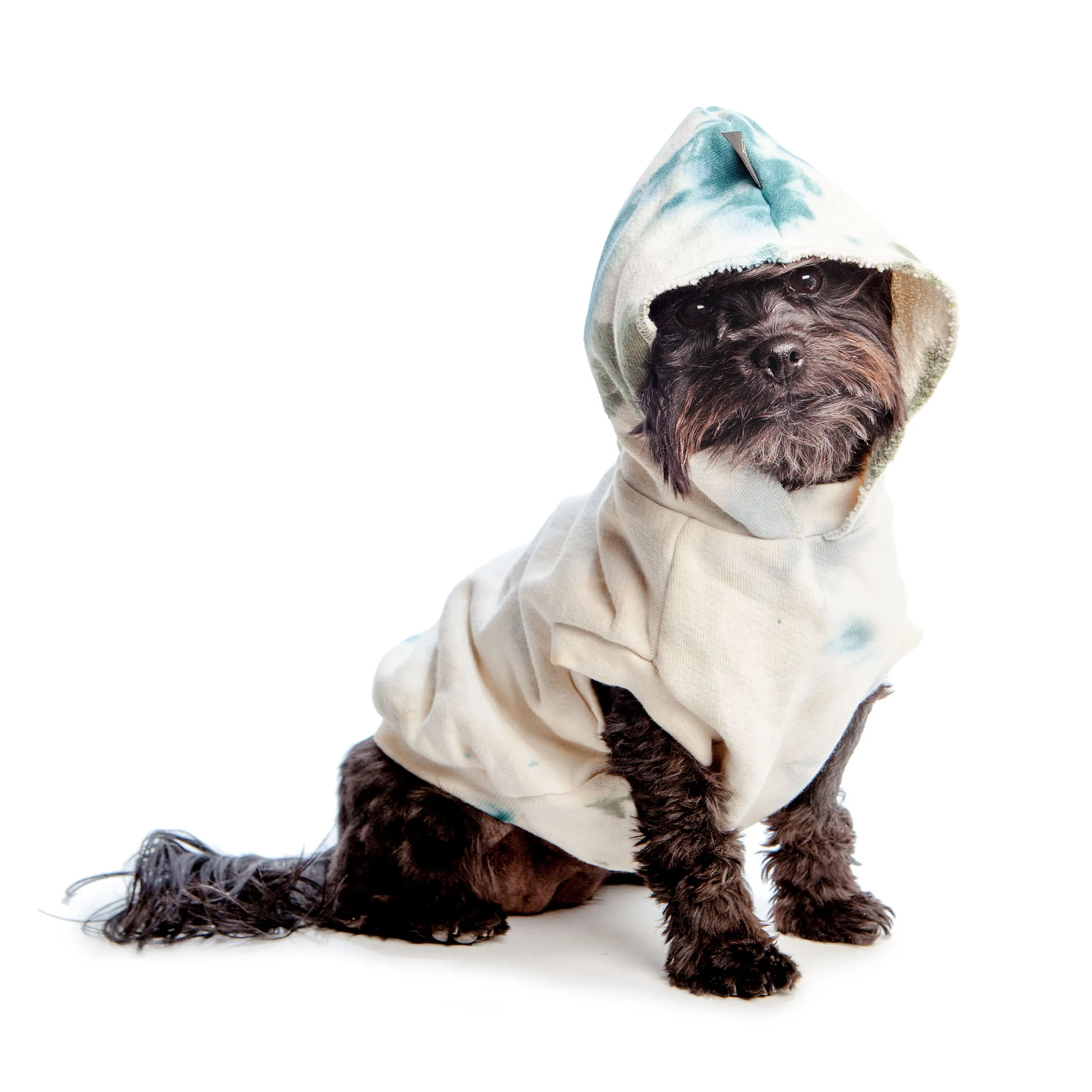 Catskill Sweatshirt (FINAL SALE)