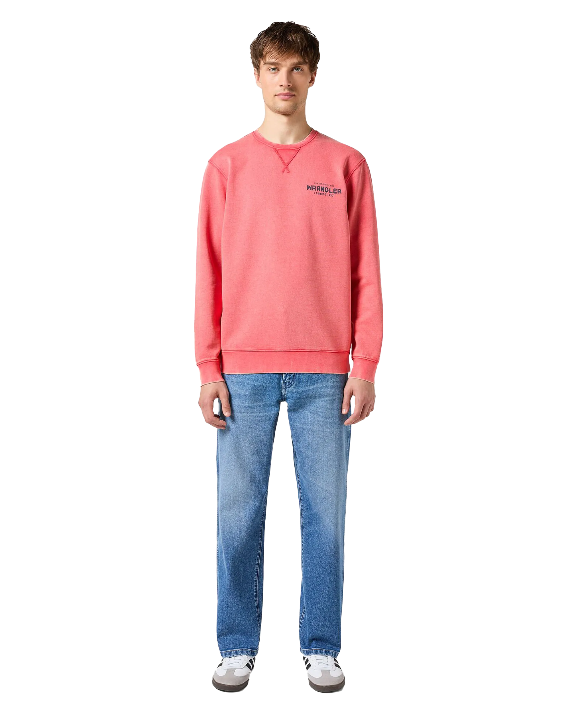 Graphic Sweatshirt in Burnt Sienna